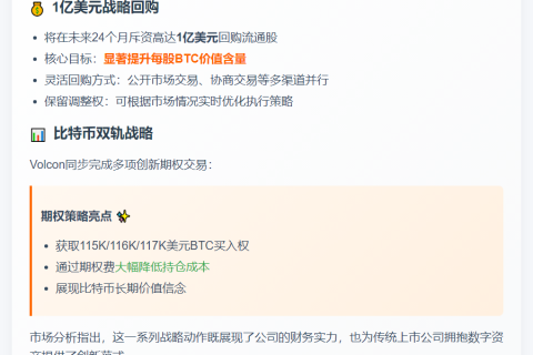 Volcon拟1亿美元回购股票提振BTC净值