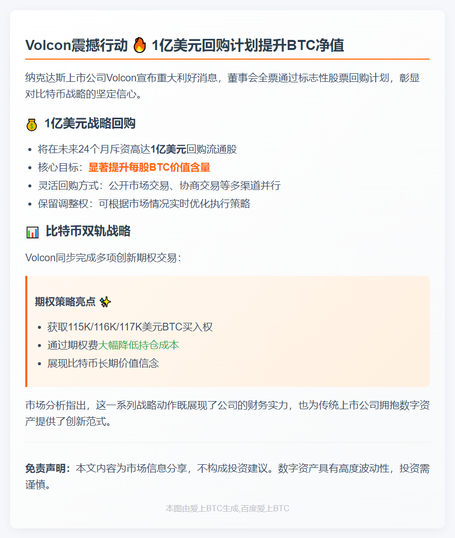 Volcon拟1亿美元回购股票提振BTC净值