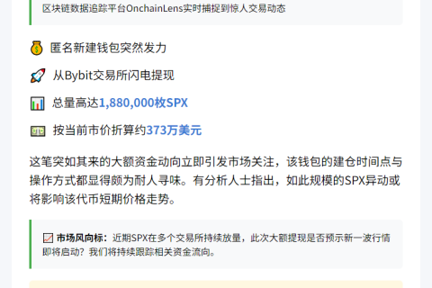 SPX巨鲸从Bybit提取373万美元代币