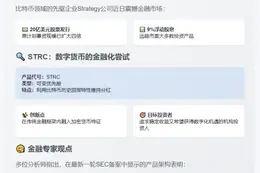 Michael Saylor拟推比特币金融工具