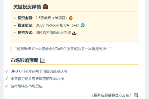 BNB Chain 基金买入 2.5 万美元 SOLV 和 CA