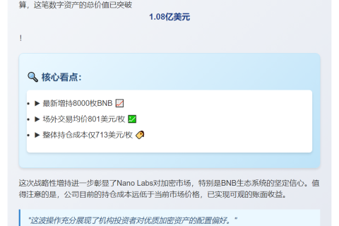 Nano Labs BHB持仓增至12.8万枚