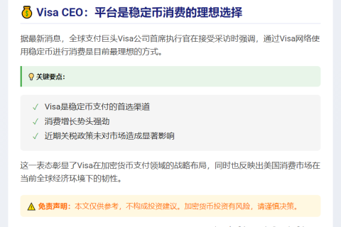"Visa CEO：稳定币消费的最佳选择"