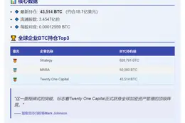 21控股比特币持仓达4.3万枚，跃居全球第三