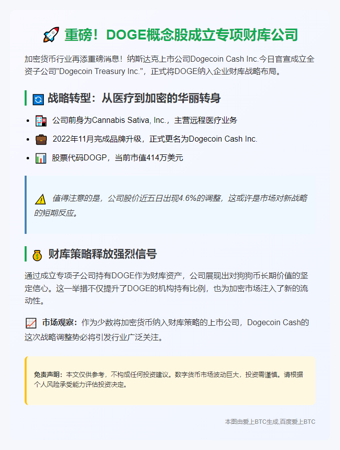"Dogecoin Cash成立子公司助力DOGE财库"