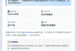 巨鲸7个月后再出手：209万美元AAVE转出CEX