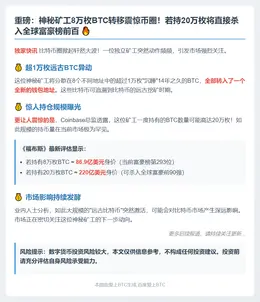 “神秘矿工持8万枚BTC可列富豪榜293名，若20万枚进前百”