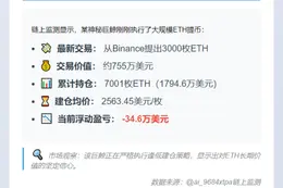巨鲸半小时前从Binance提币3000 ETH