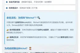 Jack Dorsey推去中心化聊天应用Bitchat 与比特币无关