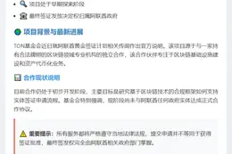 TON基金会：未与阿联酋达成黄金签证协议