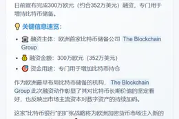 区块链集团募资300万欧元增持BTC