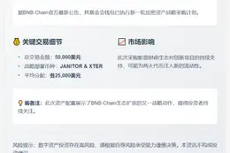 BNB基金会购买5万美元资产