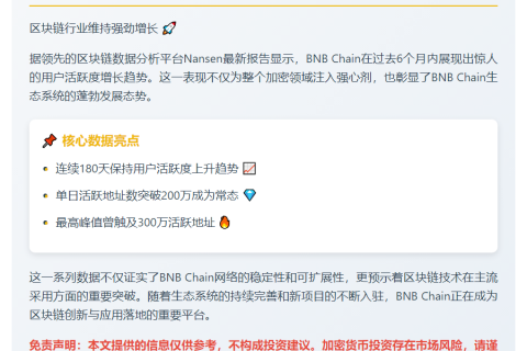 BNB Chain日活地址数半年屡破200万