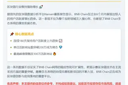 BNB Chain日活地址数半年屡破200万