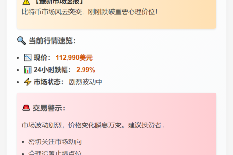 BTC跌破11.3万美元