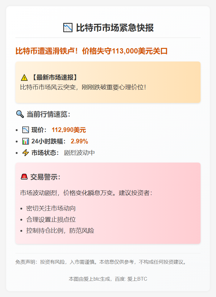 BTC跌破11.3万美元