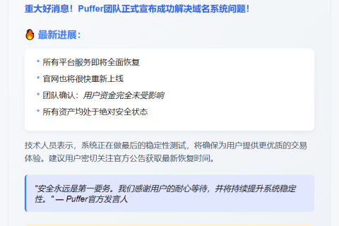 Puffer域名问题解决，服务将恢复