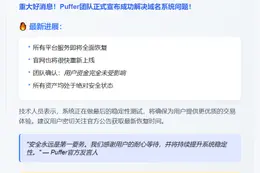 Puffer域名问题解决，服务将恢复