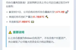 Bitdeer比特币持仓超1675枚