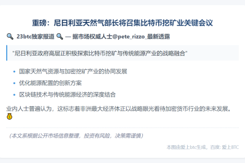 尼日利亚天然气部长召集比特币挖矿会议