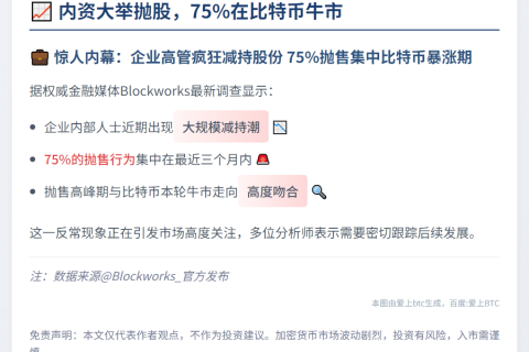 内资大举抛股，75%在比特币牛市