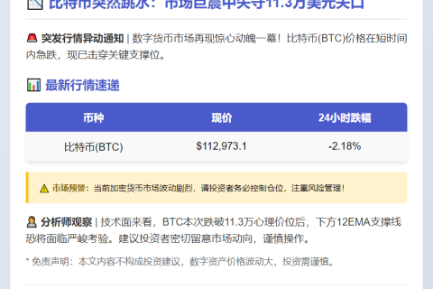 **BTC失守11.3万美元**