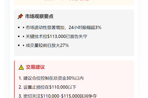 BTC跌破11.3万美元