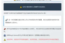 萨尔瓦多持6256枚比特币