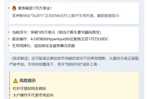 巨亏185万美元后加仓170万护盘