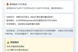 巨亏185万美元后加仓170万护盘