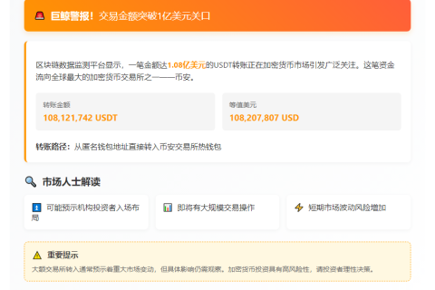 USDT大额转账进币安