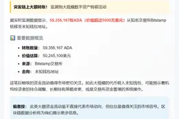 "5956万ADA转至未知钱包"