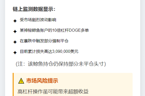 鲸鱼DOGE多单下跌遭部分清算