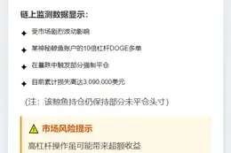 鲸鱼DOGE多单下跌遭部分清算