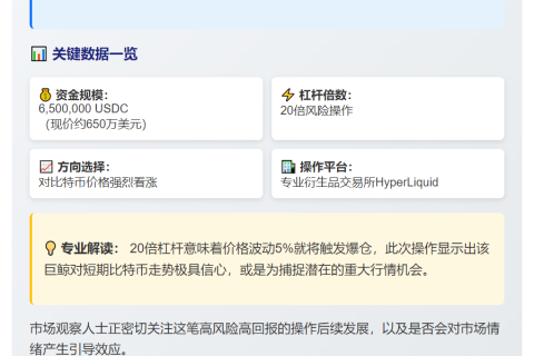 "巨鲸650万USDC做多BTC 20倍杠杆"