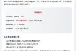 比特币跌破11.3万，29枚WBTC遭清算