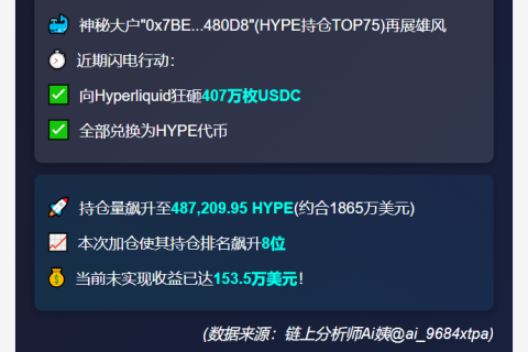 "HYPE大户增持407万USDC"