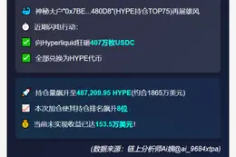 "HYPE大户增持407万USDC"