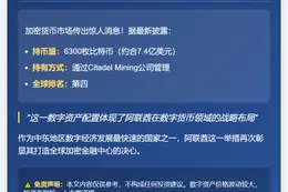 阿联酋持6300枚比特币全球第四