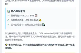 CEA Industries持有超35万枚BNB