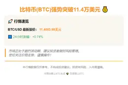 比特币飙涨至11.4万美元