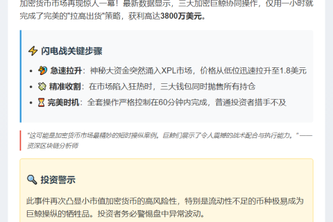 巨鲸1小时套利XPL近3800万