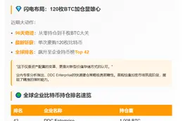DDC比特币持仓破千 跻身全球前45