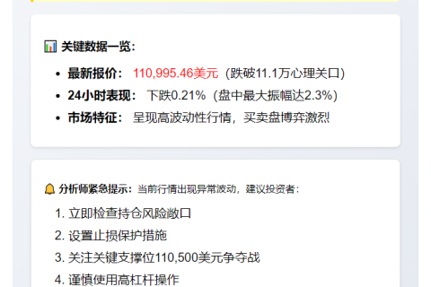 BTC跌破11万美元