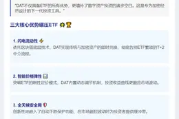 肖风：DAT或成加密投资新宠