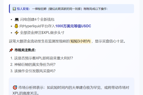 鲸鱼豪掷1000万USDC做多XPL