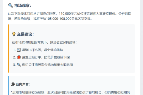 BTC跌破110000美元