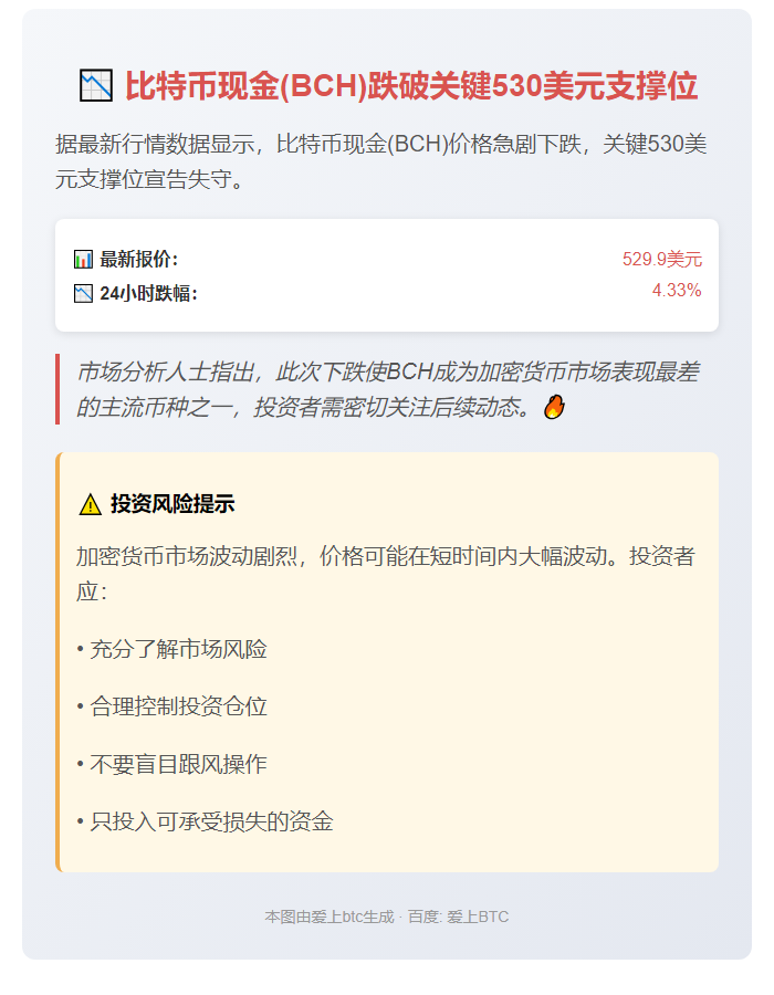 BCH跌破530美元