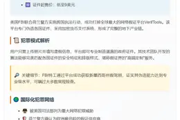 美荷捣毁假身份加密平台VerifTools
