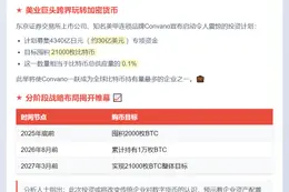 Convano拟募资30亿美元加码比特币储备